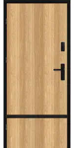 Taródi Ludas 217 szálcsiszolt fekete intarziás mdf bejárati ajtó